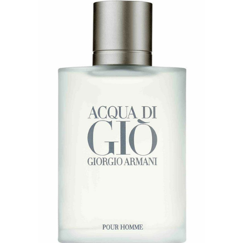 Acqua Di Gio Pour Homme 100 ml